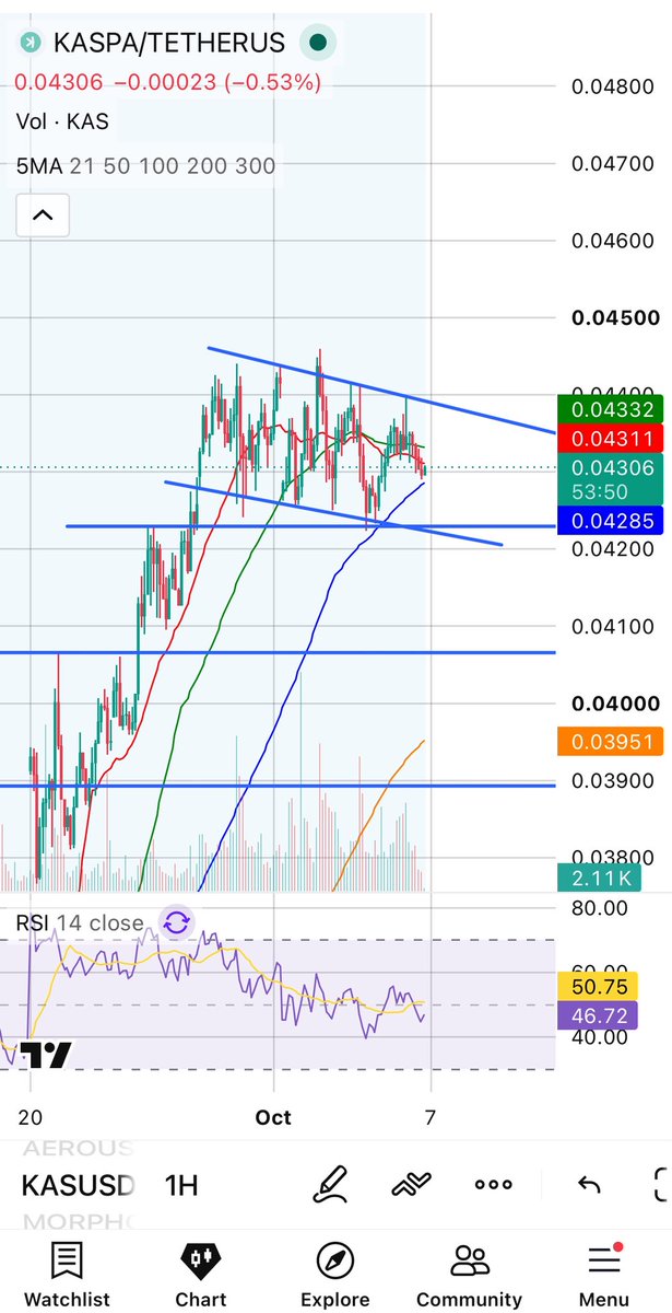 NichtayCrypto's tweet photo. Looks to me like a bull flag is loading on Kaspa!!! base:0xa366060dcfad8cb61db953a3a170d4cd8232f021 📈📈📈

If this plays out to the upside, I see the POC at about $.052 as the next stop 🚀

Hope you’re all ready for a bullish Q4 for kaspa:native 🔥🔥🔥 https://t.co/sm9vR6dpYR