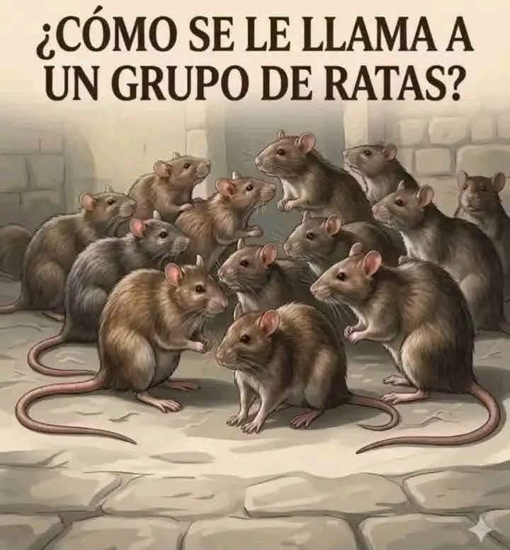 FlemberTrejo2's tweet photo. @AnonimoSV503 ASÍ ME IMAGINO LAS REUNIONES DEL PARTIDO ARENA Y FMLN https://t.co/BtFwaSGWkK