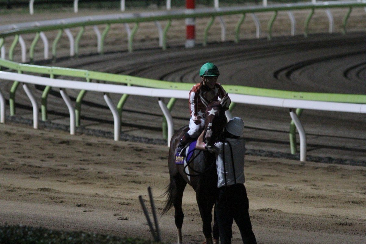 mick_fire0405's tweet photo. 競馬場で会えるのは最後ですが、こんな馬が居たなと思い出してもらえると嬉しいです
これからは子供たちが頑張ってくれると思いますので、そちらの応援もお願いいたします
今日は元気な姿を見せますので、お時間のある方はぜひその姿を見てください

ファンの方々へ
本当にありがとうございました🔥 https://t.co/S3fDbGf8Sk