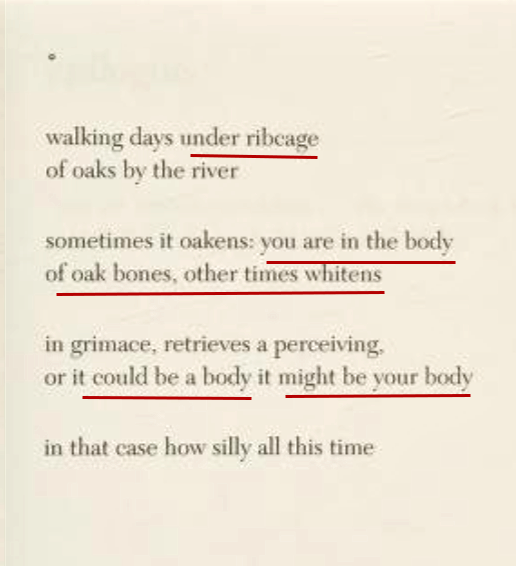 NewParisite's tweet photo. @DonnaFreem60986 Page 50 from Annie's book, The Good Dark is about discovering a "body"..."it might be your body"...

"in that case how silly all this time" https://t.co/e9iYmwtXS2