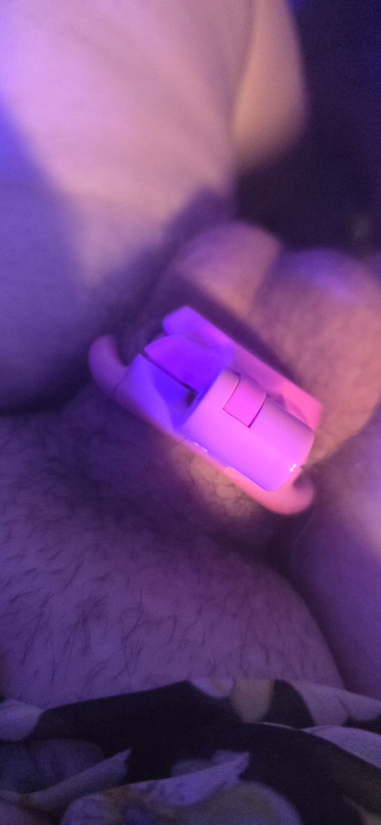 Wonderlandbih's tweet photo. Decided to clean my cage today and I definitely have shrinkage from hrt and chastity play 😭 here are the pics #locktober #chastity #trans #nsfwtwt #sph https://t.co/80TJEhHUO4