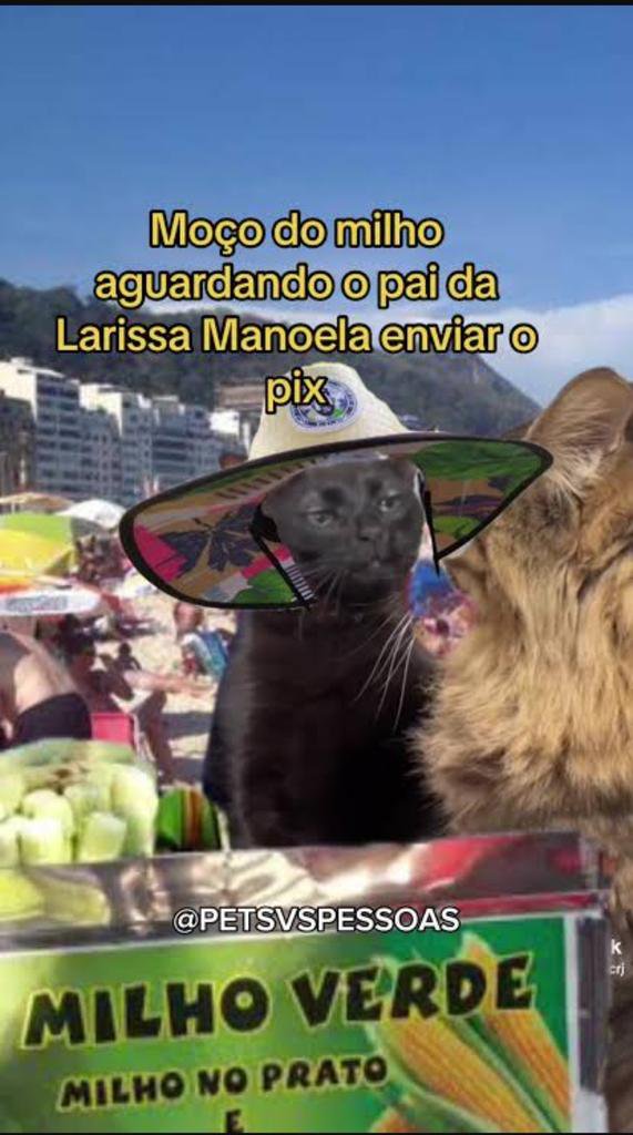 Estevaoag7's tweet photo. @poptime Jumenta igual a Rafa https://t.co/2ka5gDYkdO