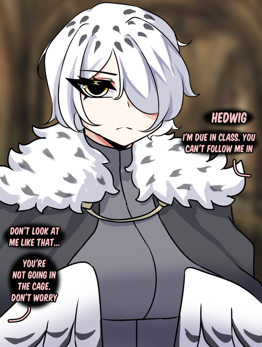 nachtflugel_art's tweet photo. Draco Malfoid has a lot of attention, I want Hedwig to have some too https://t.co/SgoXGaxkc1