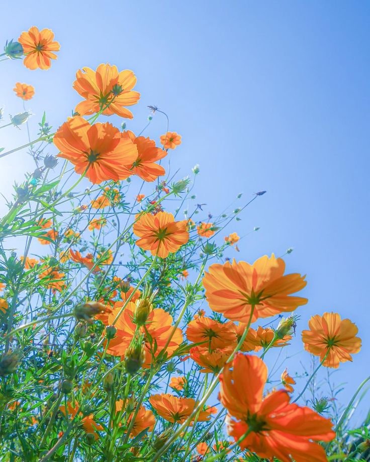 granddays_psy2's tweet photo. おはようございます☕🌿

​自分の心を大切にすると
少しずつ心に余白が生まれます

その余白が
誰かの痛みに気づく優しさや
温かさになるのでしょう

自分を大切にすることは
自分だけのためではないのですね

心と体が心地よい選択を

限りある時間を
大切に♡

(^^)ｺｺﾛ💕

皆様💐素敵な１日を🍀🕊️ https://t.co/9NftmyChcP