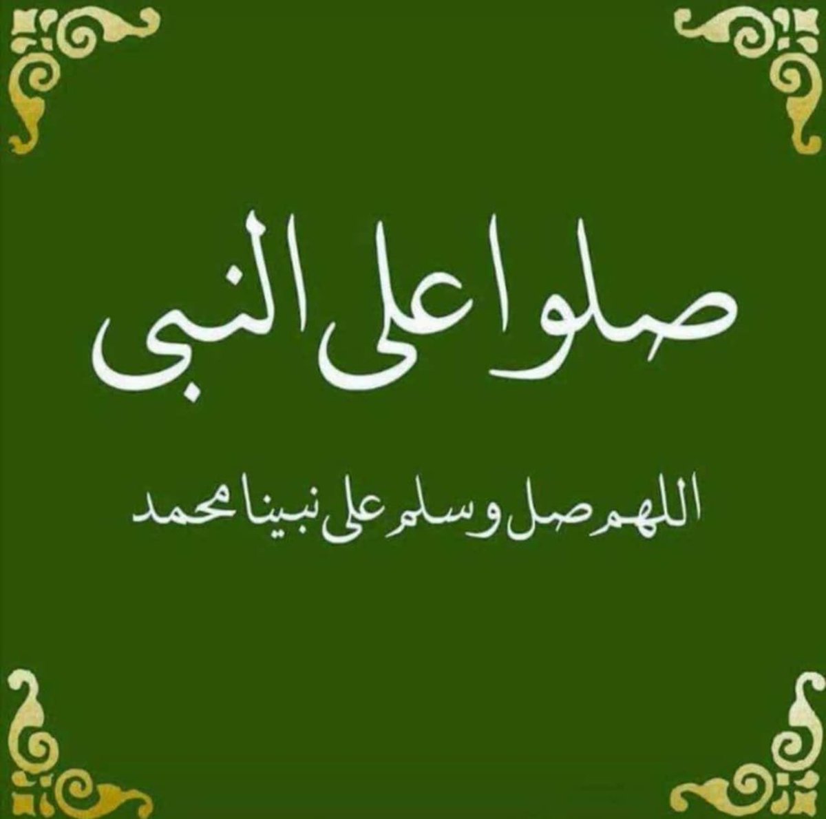 77M3tsm's tweet photo. @xrti_7l https://t.co/ZGfI63vnSn