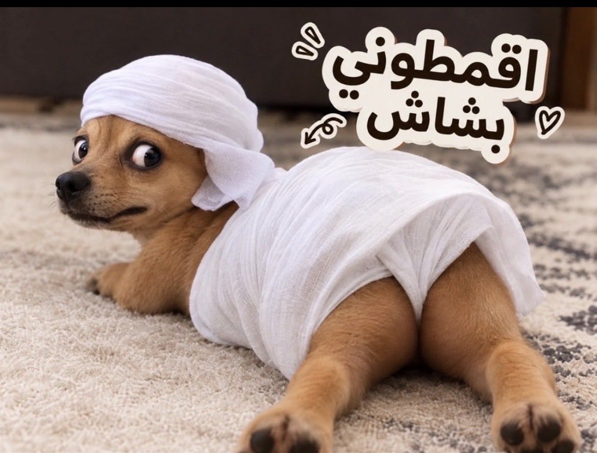 GxZzr's tweet photo. @khalifa77uae قمط زين وانتا في مطار جده ي كيرلا السعودي مايشوفك شي 😉😂😂 https://t.co/fytnOaxgmr