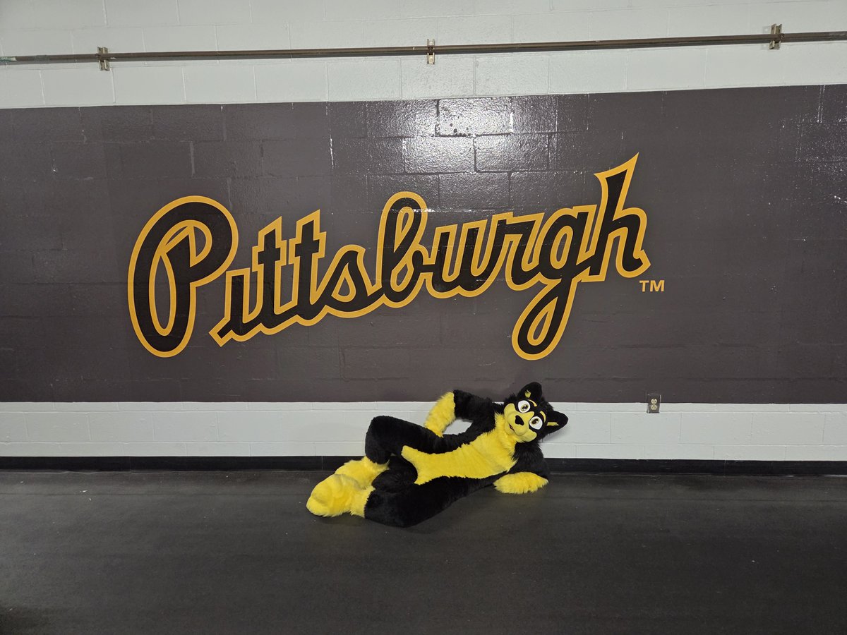 anthrocon's tweet photo. Our good friend Anthrocat surprised some of our friends at the @Pirates with a birthday appearance! Maybe we'll get to throw an opening pitch for them next year 💛😼⚾️🖤 #Letsgobucs https://t.co/4N3E4BwoQx