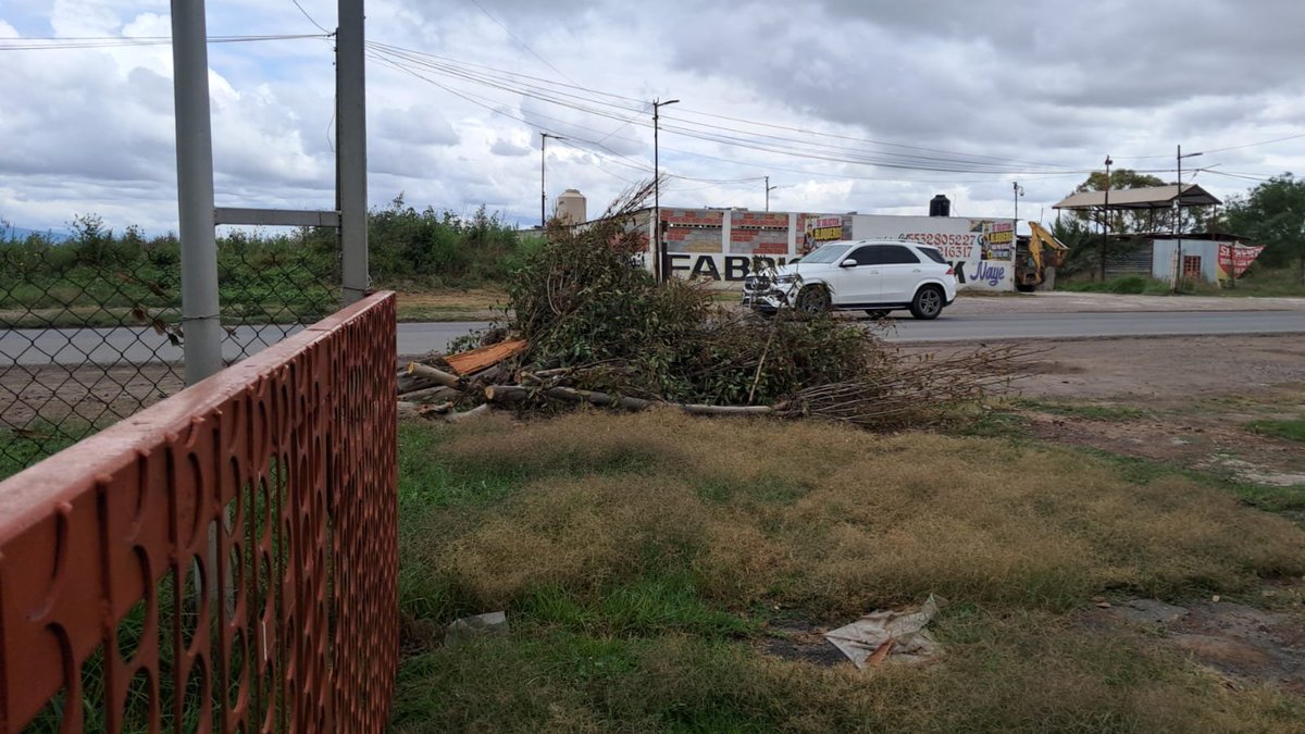 vickoresendiz's tweet photo. 🚨 Denuncia Ciudadana: Acaban de derribar un árbol en la carretera de Xaltocan, frente a la tabiquera. ¿Cuentan con los permisos oficiales? @PROPAEM_SMA @AmbienteEdomex @PROFEPA_Mx @GobiernoEdomex #Edomex https://t.co/CvQC5voeOD