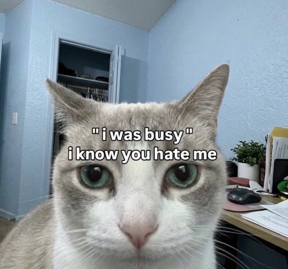 literallymecats's tweet photo. https://t.co/nPOt52sFtg