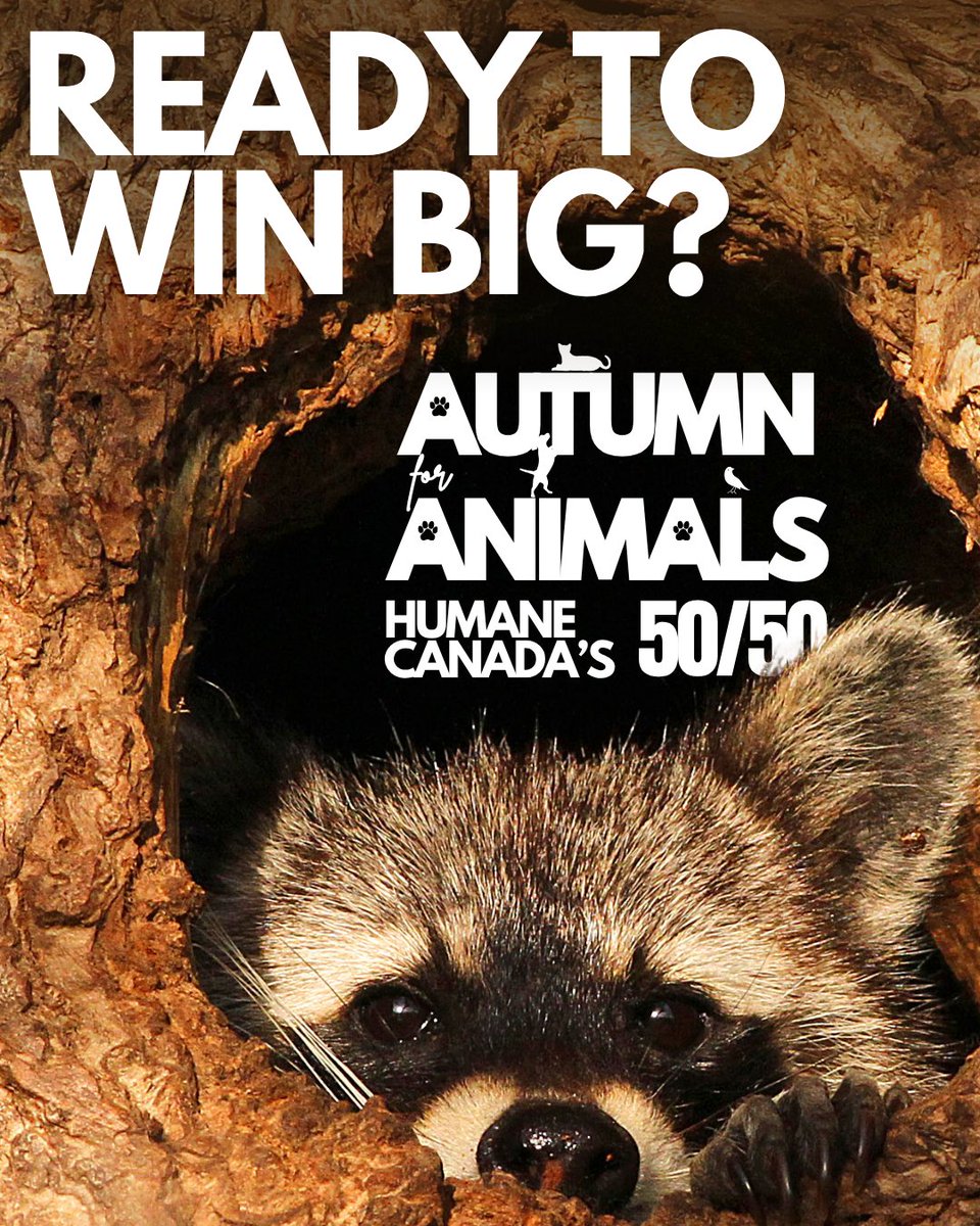HumaneCanada's tweet photo. 🍂🐾 Ontario - Autumn for Animals 50/50 is here🐾🍂
What's better than winning extra cash while supporting animal welfare?
Just head to 👉 https://t.co/6A6727Bx77
*Open to residents of Ontario, 18 years and older.

#5050Lottery #HumaneCanada #SupportAnimalWelfare #WinAndGiveBack https://t.co/i8IazTV9CU