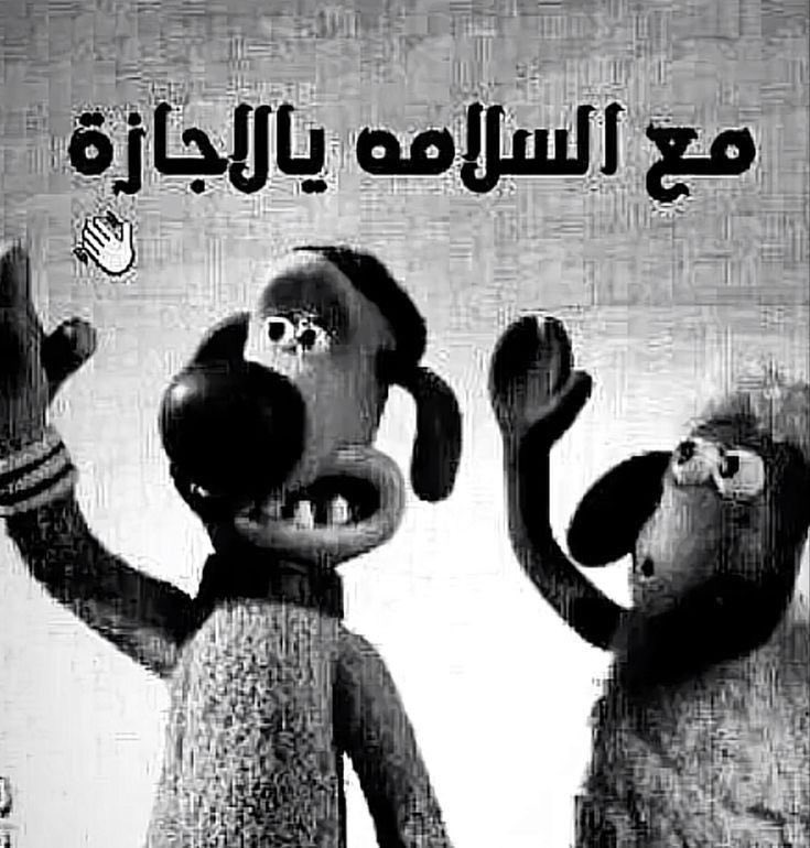 Ht6vf's tweet photo. @rll11___ https://t.co/lenL9hBWxm