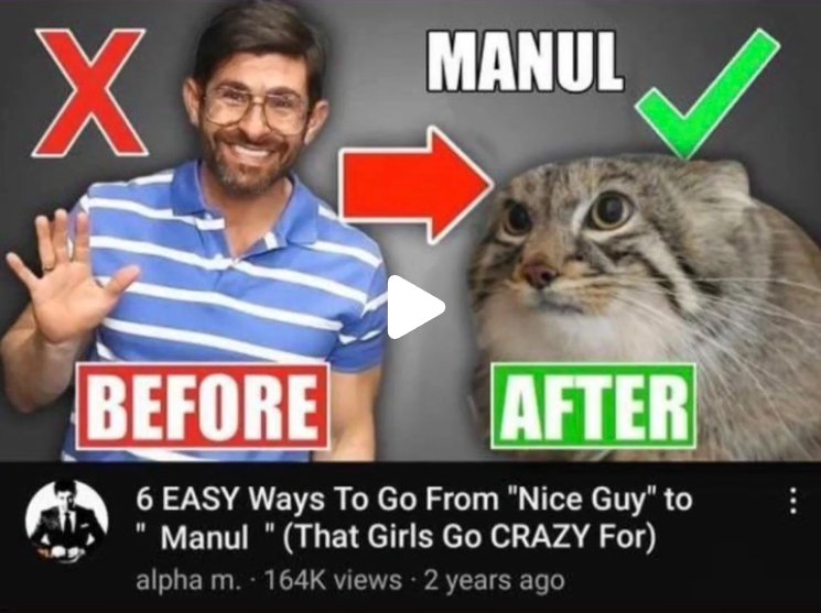 _Robert_Paul2_'s tweet photo. 6 EASY Ways To Go From "Nice Guy" To " #Manul " (That Girls Go CRAZY For) https://t.co/7ttT40CxX7