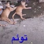 Photo by اتكلم (@Nooctte)