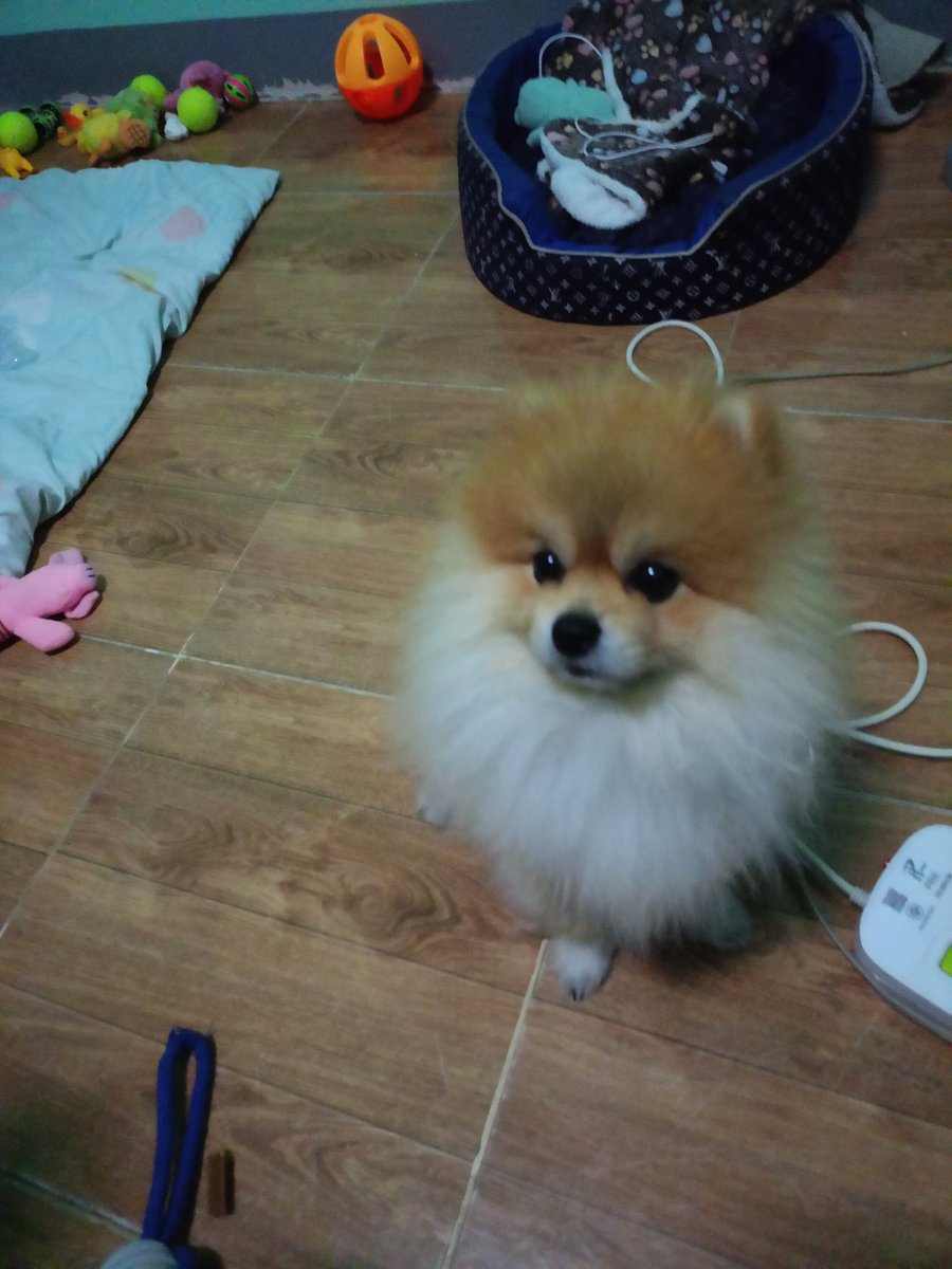 yod579893's tweet photo. ลิงน้อยจอมซน https://t.co/mWFlBgusNi
