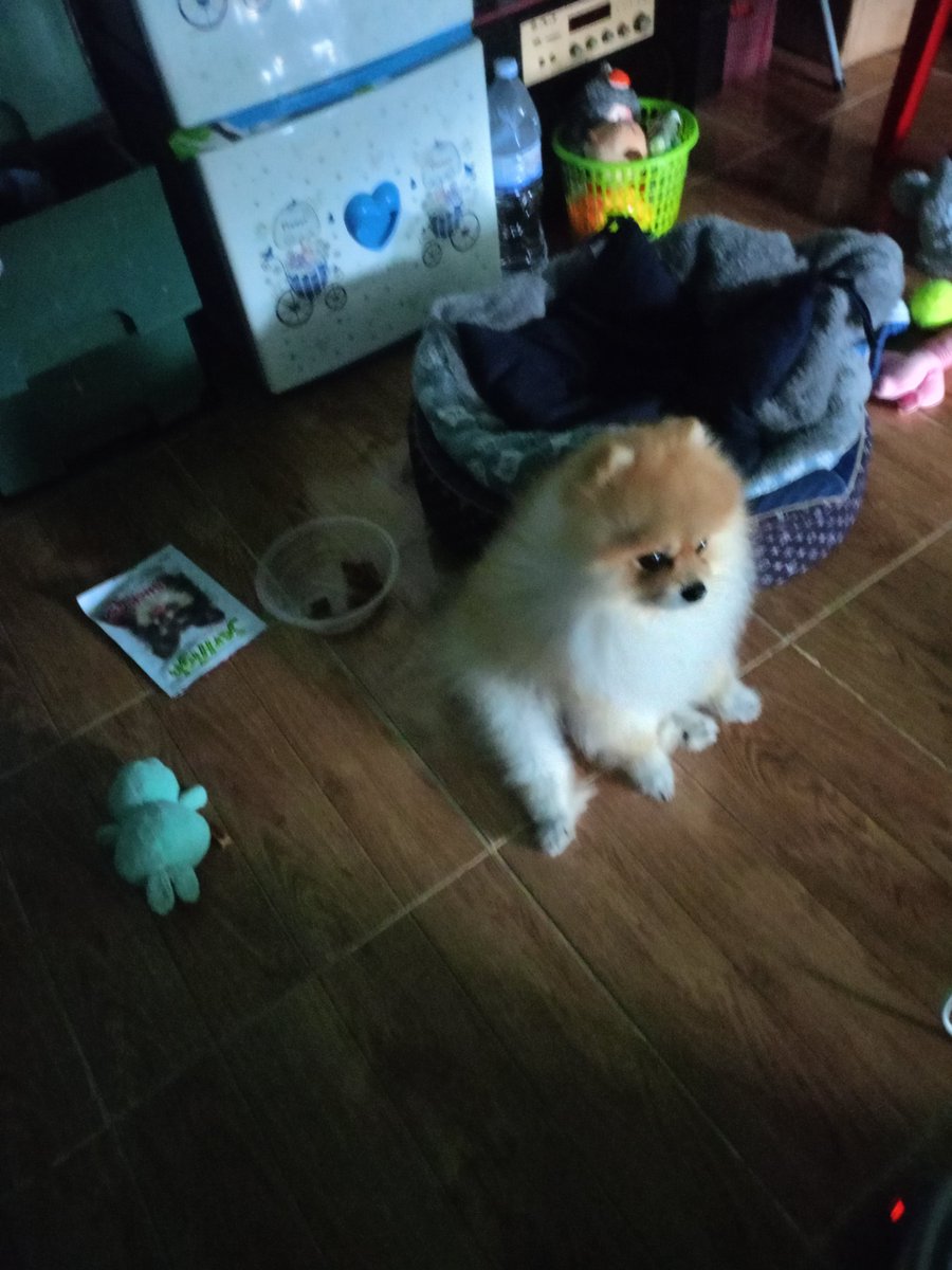 yod579893's tweet photo. ลิงน้อยจอมซน https://t.co/mWFlBgusNi