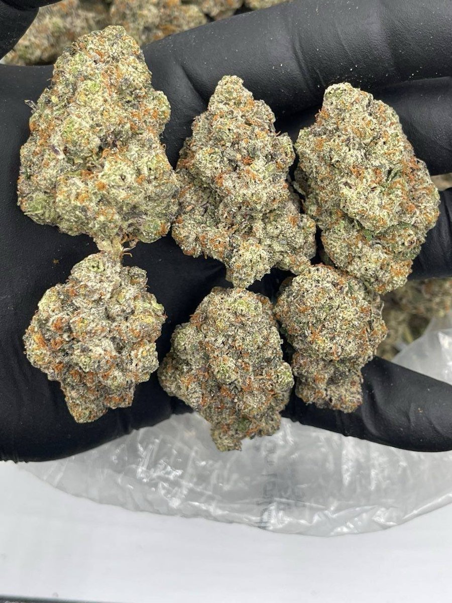 streetbreads's tweet photo. Fire fumes
1p $600
#Htxweed #weedltwt #davenportweed #weedplug #kissimmeebud #serving #plug #nyc #weedinorlando #cannabis #caliweed #texasplug #dfw #atlweed #atlplug #yart #za #dallasplug #dallasweed #ohioweed #420usa #floridaweed #mesquite #organic https://t.co/a2jDC65sV2