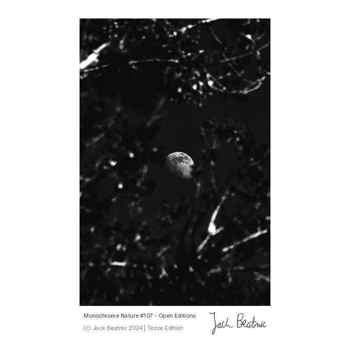 JackBeatnicSI's tweet photo. including my photography 📷 https://t.co/Xi1COaIv20