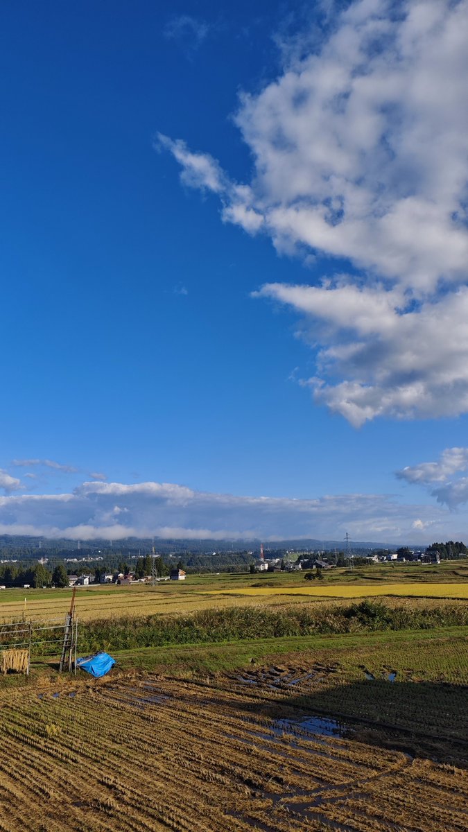 kainotorapong's tweet photo. 久し振りの晴れな十日町☀️
気温は少し寒いです
果たしていつまでこの晴れが続くのか
連休は絶好の山日和になると願うばかりです
#hl775 https://t.co/yqW5purqQ9