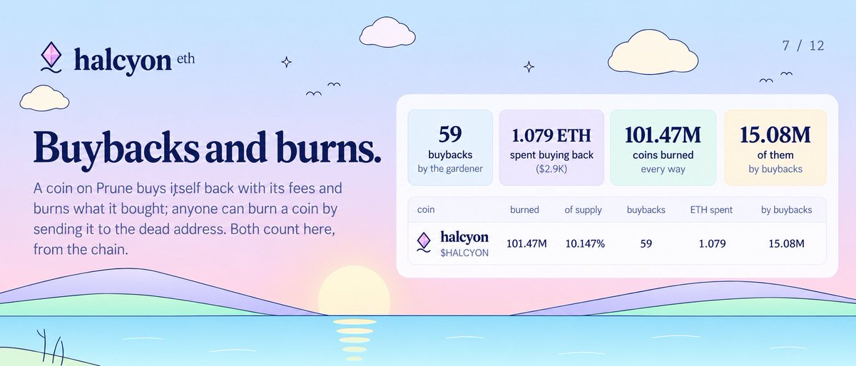 halcyoncash's tweet photo. https://t.co/rowno28RNZ