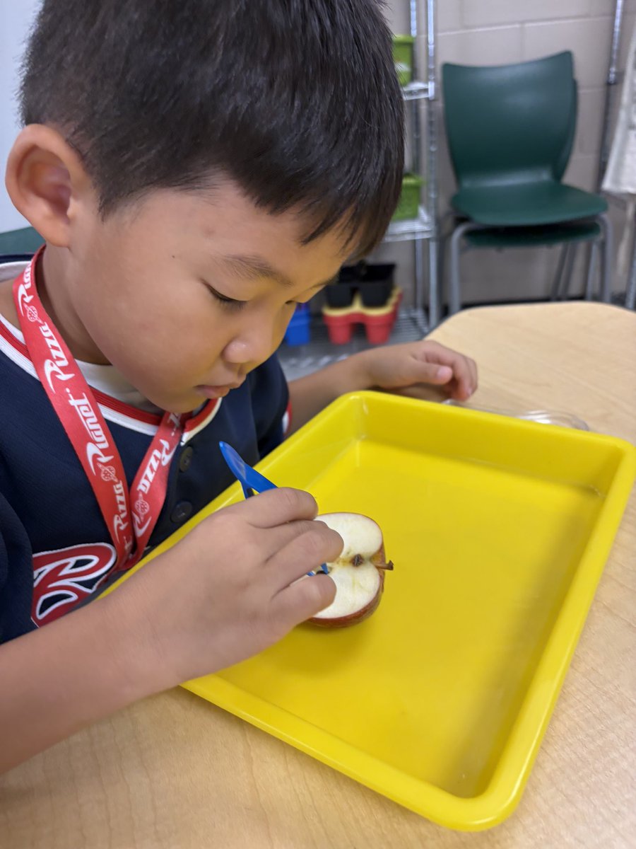 RLifescience's tweet photo. Dissecting Apples in the @RNE_Foundation Science Lab. Celebrating Farm to School Month as we "taste the state" and learn about the energy contained inside an apple. Thanks for the 🍎 @bolles_claudia @FCSNutrition @FarmtoSchool @GaDOENutrition @GaDOEScience https://t.co/TJjkDULIHP