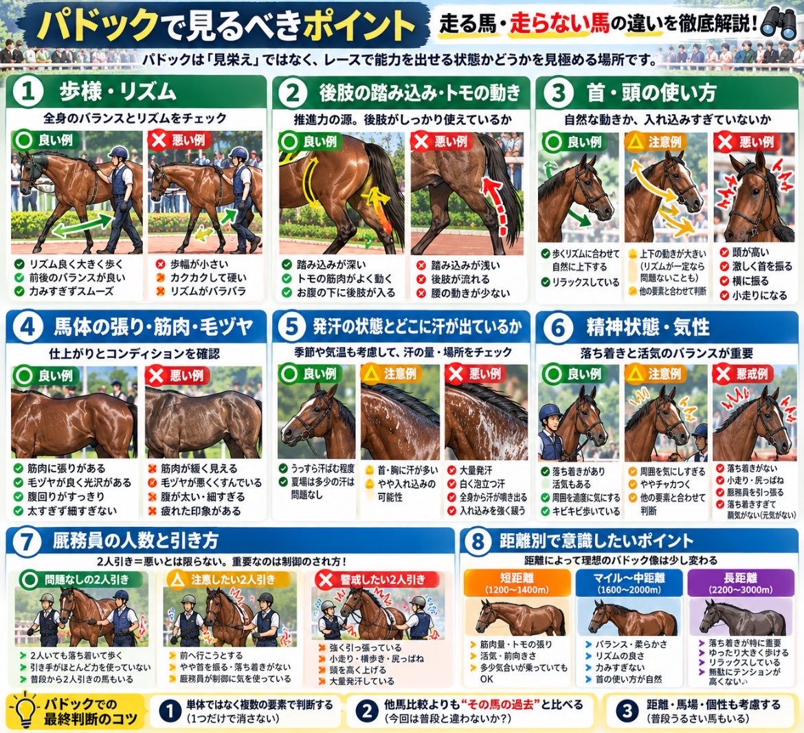 keiba_0425's tweet photo. おはようございます！

③走る馬・走らない馬の見分け方

【パドックの見方③】

最後は
「走りそうな馬・走ら��そうな馬」の違い。

走りそうな馬に多いのは、

・リズムよく大きく歩く
・後肢の踏み込みが深い
・首の動きが自然
・馬体に張りがある
・落ち着き＋活気がある

逆に注意したいのは、

・歩幅が小さい
・後肢の踏み込みが浅い
・身体が硬い
・大量発汗
・入れ込みすぎ／元気がない

ただし一番大事なのは、
他の馬より良く見えるかではなく、その馬の普段と比べること。

普段からうるさい馬なら多少チャカついても普通。
普段落ち着いている馬が急に制御困難なら注意。

パドックは「能力を当てる場所」というより、
当日その馬が能力を出せそうか確認する場所と考えると分かりやすいです。

#競馬 #競馬初心者 #パドック #競馬予想