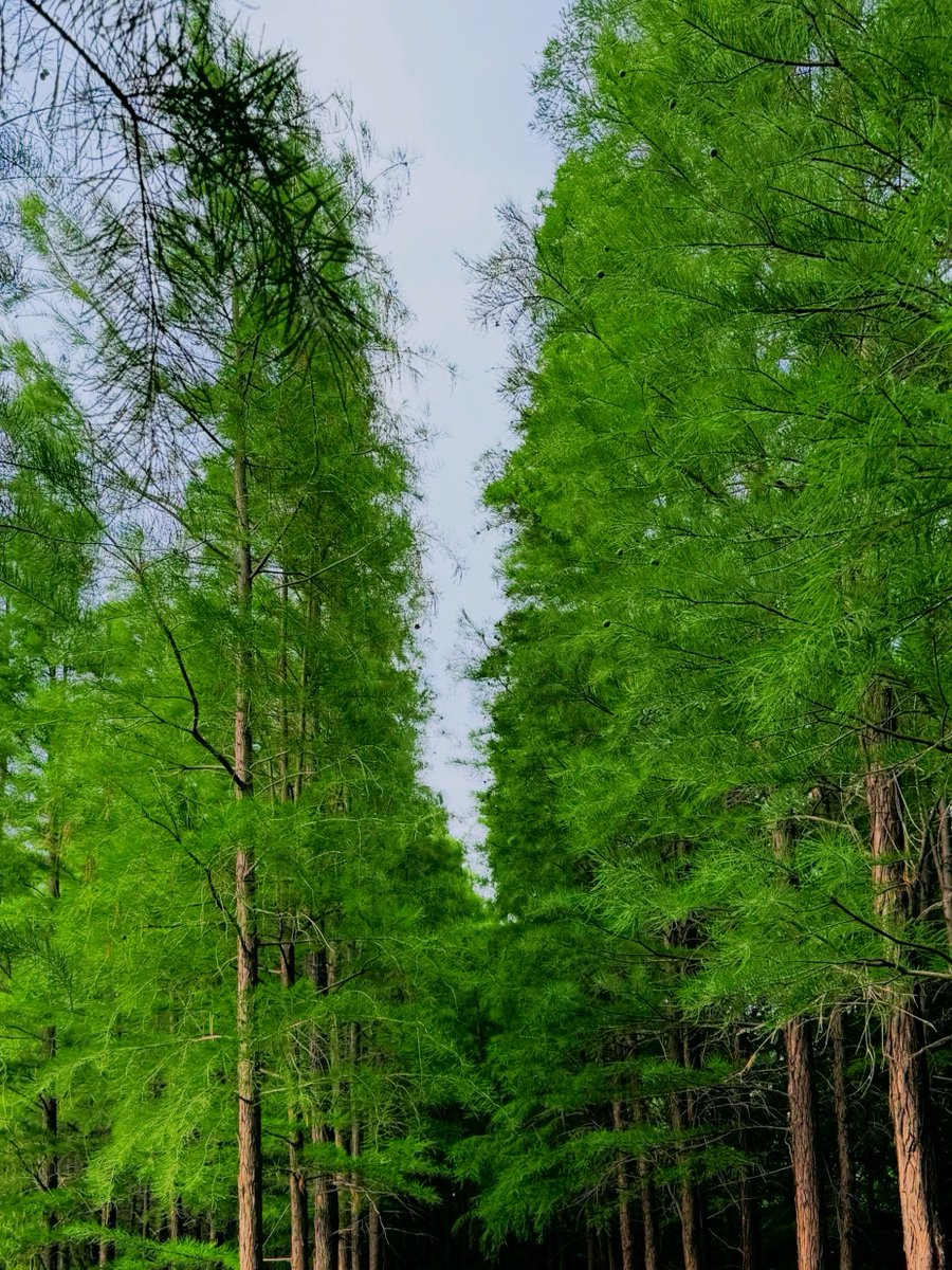 CarterFrane0s8's tweet photo. In the forest, hunters by the lakeside are tracking their target, but wait—this isn’t about a hunt for profit, it’s about getting rid of bribes hidden deep in the woods. https://t.co/WspUwNsmdx