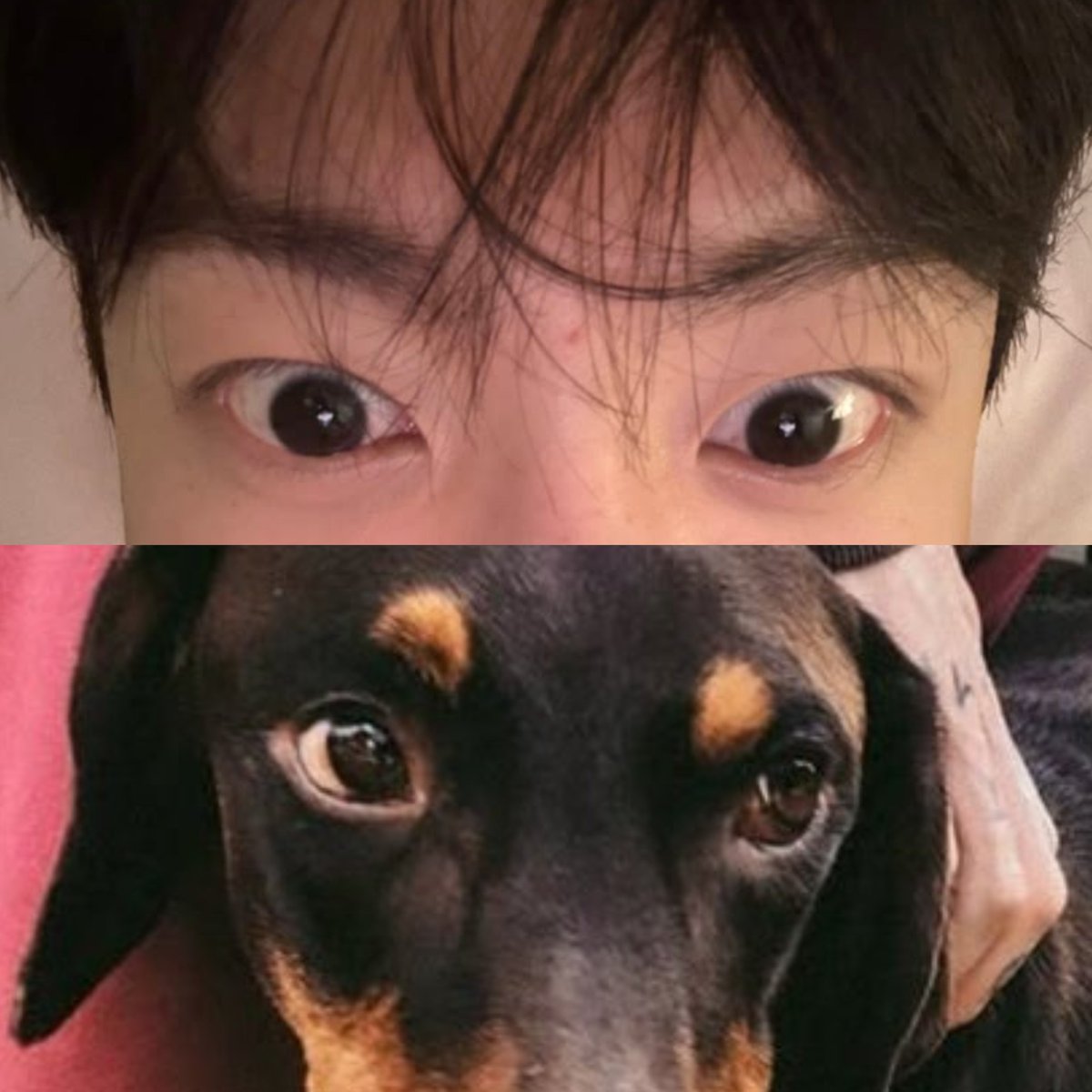 _sgminseven's tweet photo. Bam is literally Jungkook 😭😭😭😭😭😭😭😭😭😭 https://t.co/cdsP0dwYVe