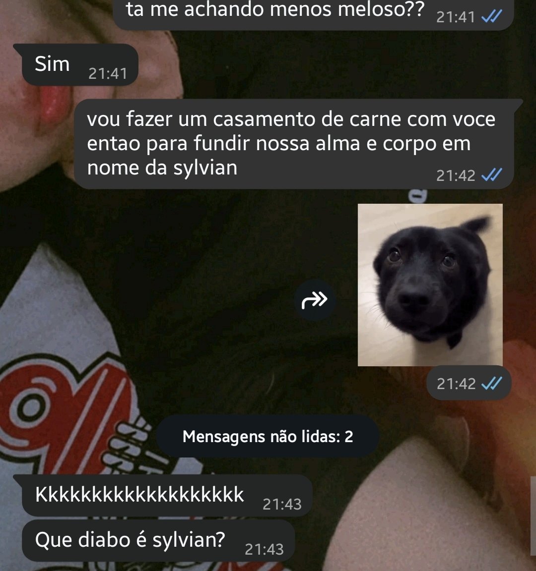 sawcleavertop1's tweet photo. que diabo é sylvian? https://t.co/eRgHVmLedB
