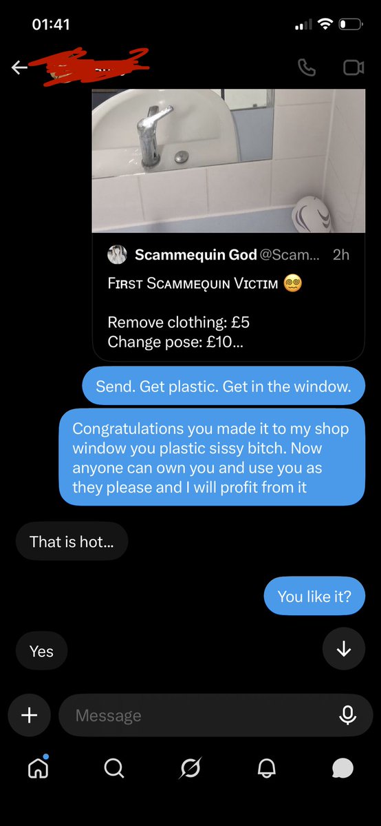 Scammequin's tweet photo. Get turned into my scammequin now and be put on display in my shop window https://t.co/mFBiSxLS5U
