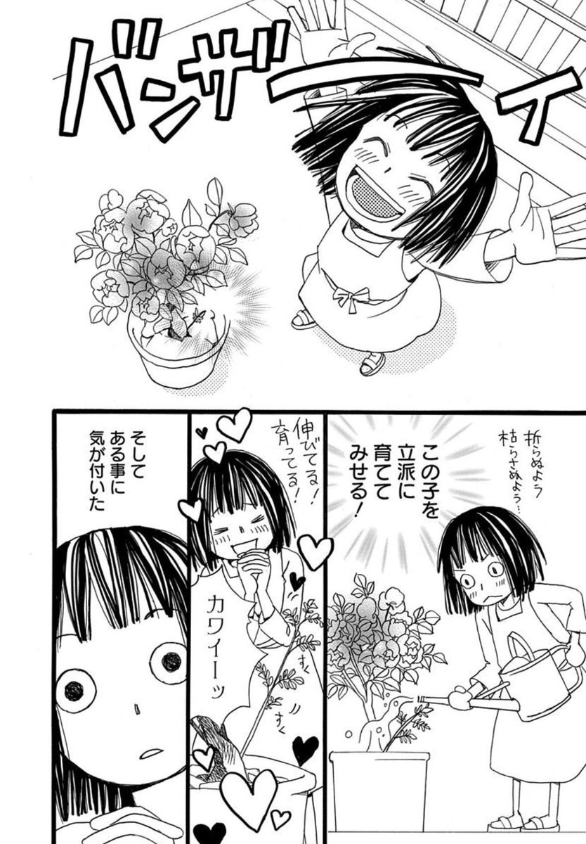 Melody_hakusen's tweet photo. ⊹︵︵︵⊹✧⊹︵︵︵⊹
   電子コミックス
  最新③巻 配信中🌱
⊹︶︶︶︶︶︶︶︶⊹

#六本木綾 先生 @roppongiaya 
「 #ベランダ絵日記帖 」③
電子書店にて配信スタート♫

ユーモラスな失敗談(?)に
思わずクスッとしてしまう🤣
ガーデニングエッセイ待望の最新巻！
https://t.co/kPfa6yvhRi https://t.co/dLSfGXVjlv