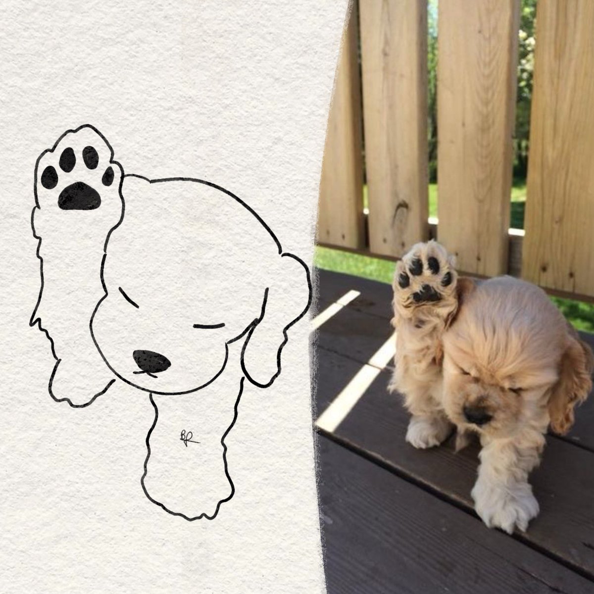 twaniimals's tweet photo. https://t.co/eeITJTNWab