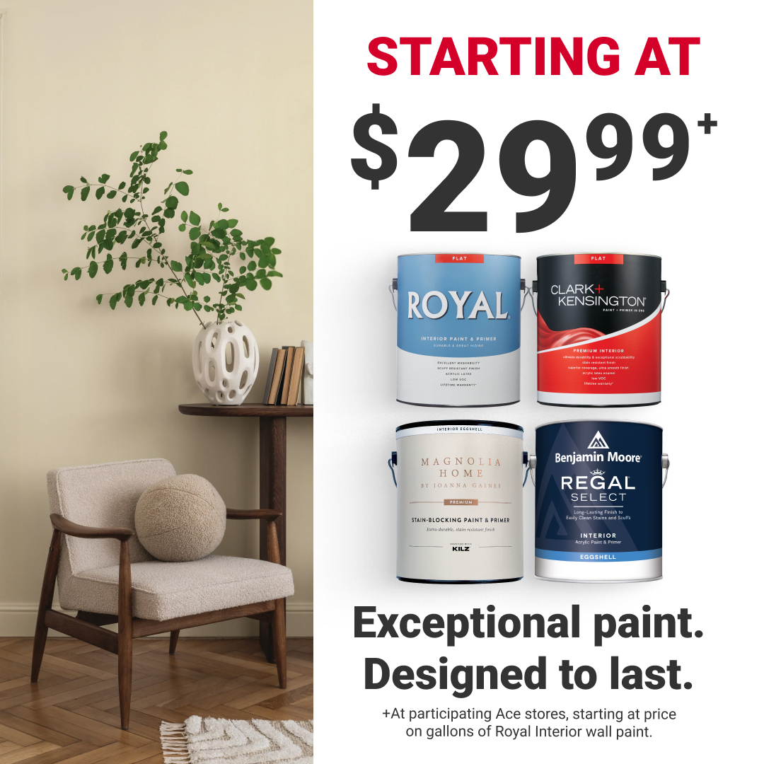 BLHardware's tweet photo. Refresh your home with exceptional paint from Royal®, Clark+Kensington®, Magnolia Home®, and Benjamin Moore®. 🎨 Delivering beautiful color, dependable coverage, and lasting durability for every room in your home. Learn more at https://t.co/P9bHVqsY1q. #MyLocalAce https://t.co/syTJl0pYnu