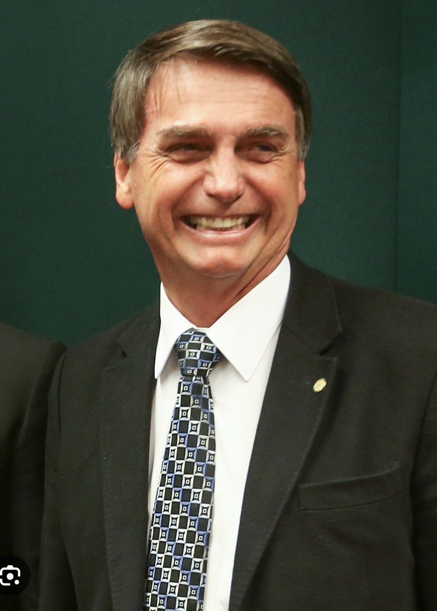 MariBrito26's tweet photo. Nós te honramos presidente 🇧🇷  LIBERTEM BOLSONARO! https://t.co/C1DlCTfXLY