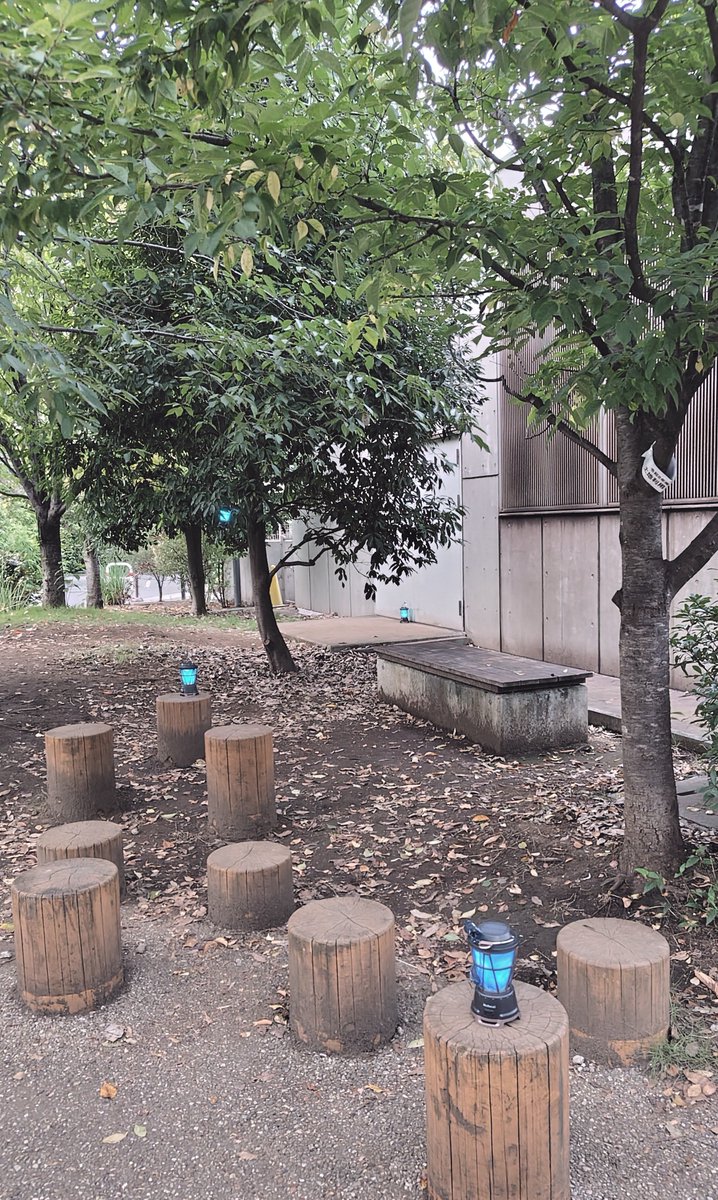 Shikioyobi's tweet photo. イマーシブシアター『猫町』行ってきた！

詩人の声に着いて行くと、町も人も常と違って見えてしまう。
迷い方向を見失う感覚も、無いものが確かに「ある」感覚も、詩の世界に行けたようで嬉しかった✨️

ｰｰｰ
「迷い子！」
──萩原朔太郎「猫町」

#ムーンアートナイト下北沢
#猫町
#daizydoze https://t.co/8oFKWTry5W