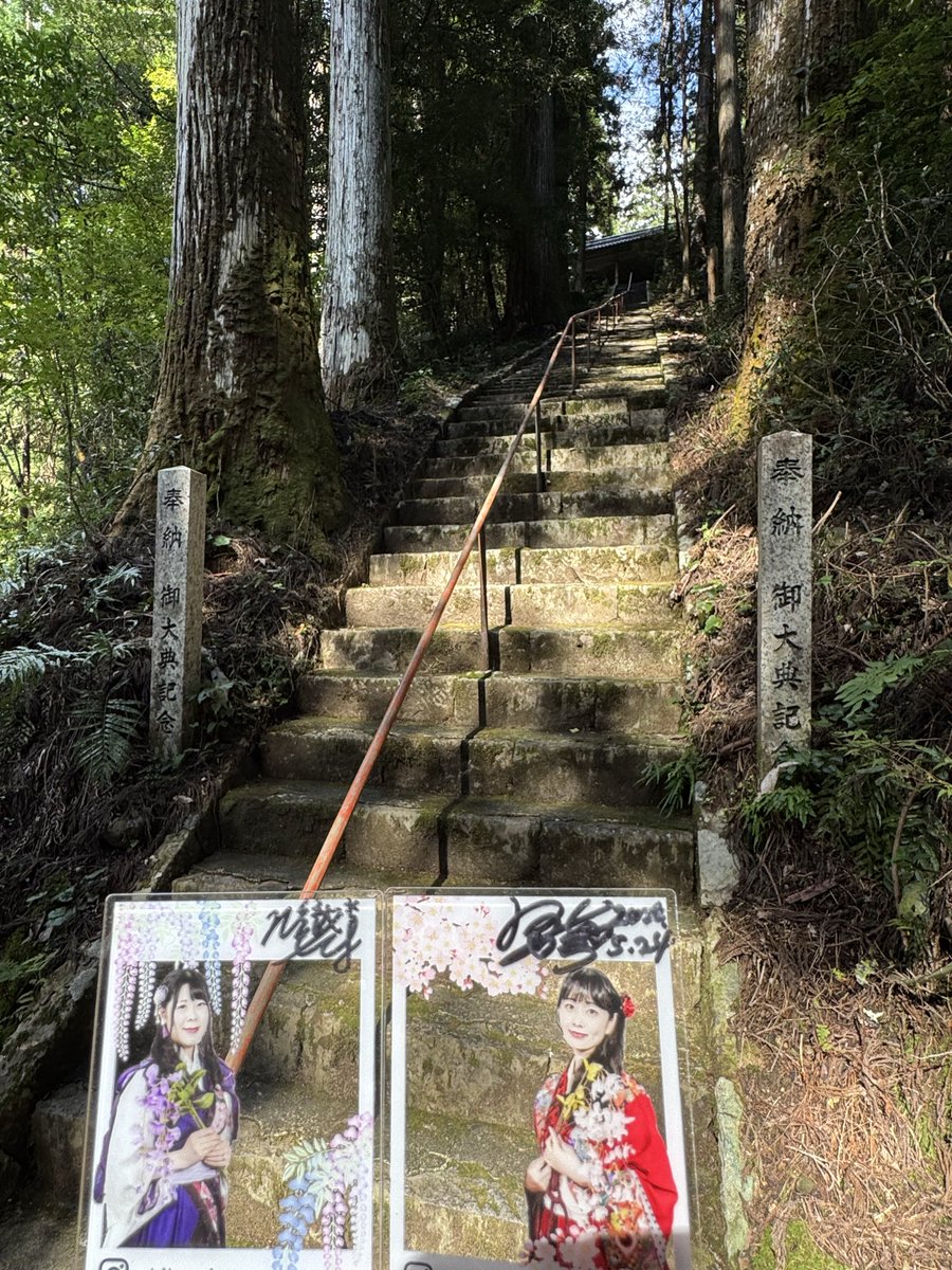TooboyLime009's tweet photo. #龍神社
と
#おでかけさくらゆき

この長い階段から見上げる佇まいが他の人の写真を見ていいなと思い現地へ行って見た次第。
此処も人がまばらで心地よく😌 
奥には滝権現もあるので行きました
あな、癒しや��� https://t.co/MQ3goKqDmQ