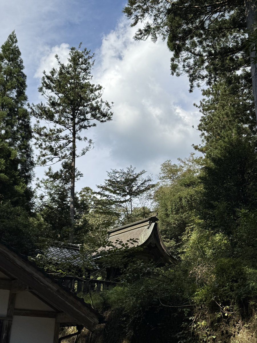 TooboyLime009's tweet photo. #龍神社
と
#おでかけさくらゆき

この長い階段から見上げる佇まいが他の人の写真を見ていいなと思い現地へ行って見た次第。
此処も人がまばらで心地よく😌 
奥には滝権現もあるので行きました
あな、癒しや��� https://t.co/MQ3goKqDmQ