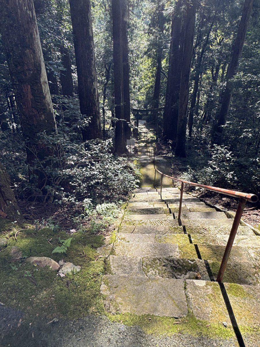 TooboyLime009's tweet photo. #龍神社
と
#おでかけさくらゆき

この長い階段から見上げる佇まいが他の人の写真を見ていいなと思い現地へ行って見た次第。
此処も人がまばらで心地よく😌 
奥には滝権現もあるので行きました
あな、癒しや��� https://t.co/MQ3goKqDmQ