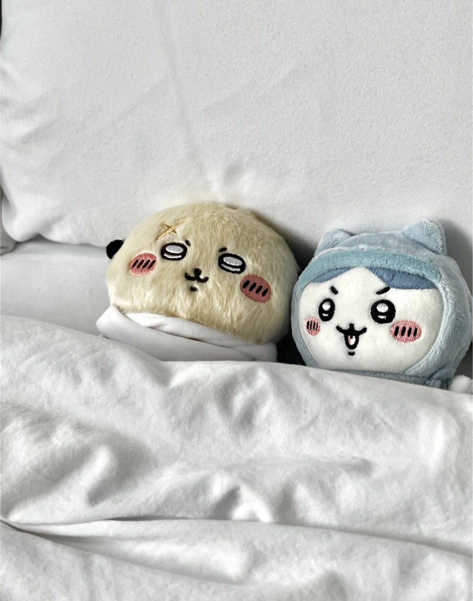 hy330n's tweet photo. (ò◡ó)　ᕦ(òωó)ᕤ https://t.co/p6yr3rVlm6
