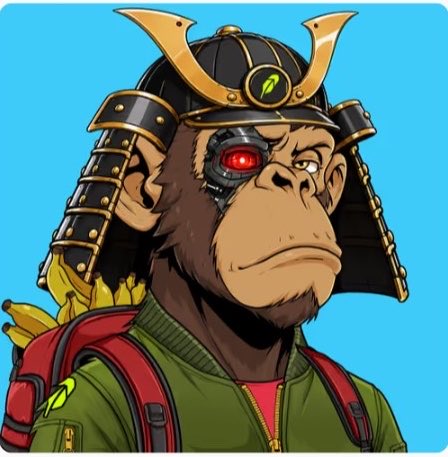 MichaelHeckert's tweet photo. OFFICIAL MEMBER OF THE @TheSuitedApes 🦍🔥

DONT BE THE UNFORTUNATE SOUL THAT ENDS UP ACROSS THE CAGE FROM THIS VIOLENT PRIME APE😤 https://t.co/JZy4OGIgCb