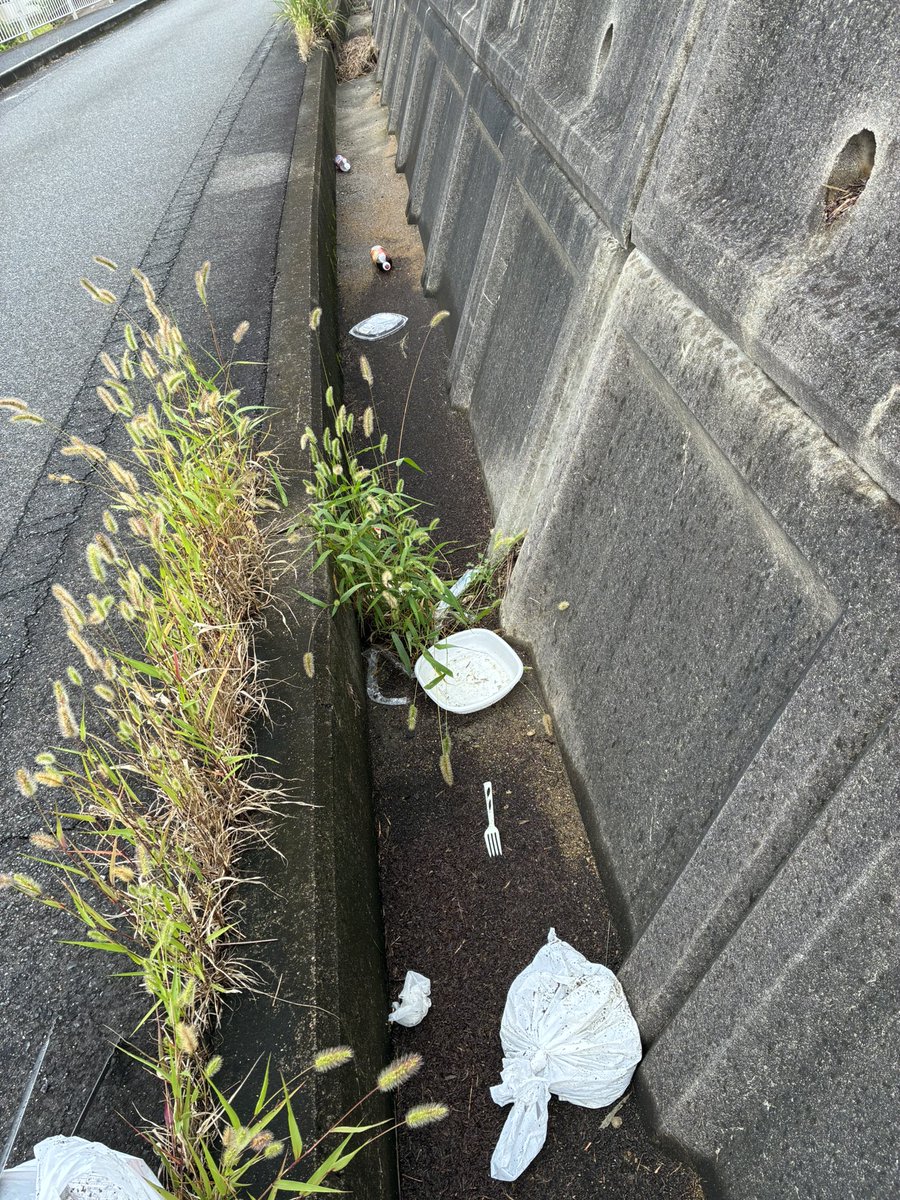 kokko20300's tweet photo. 今朝のゴミ拾い。
常習犯　業務用のゴム手袋🧤
同じ空き缶
同じタバコ　中身の入ったペットボトル🧴
食べたあとの容器、道路はゴミ箱じゃありませんよー https://t.co/us217D2iCN