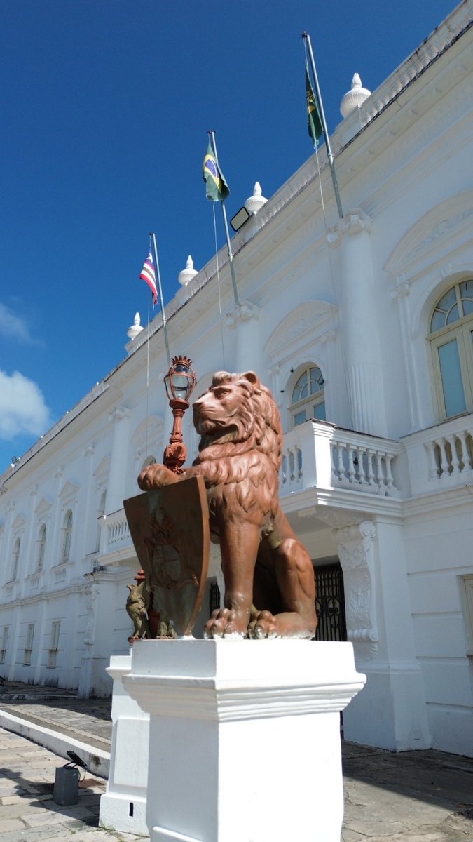 HiltonFranco's tweet photo. Pela primeira vez na história, os Leões viraram gatinhos e perderam a eleição. 🦁🐱 https://t.co/TfEvymAxm5