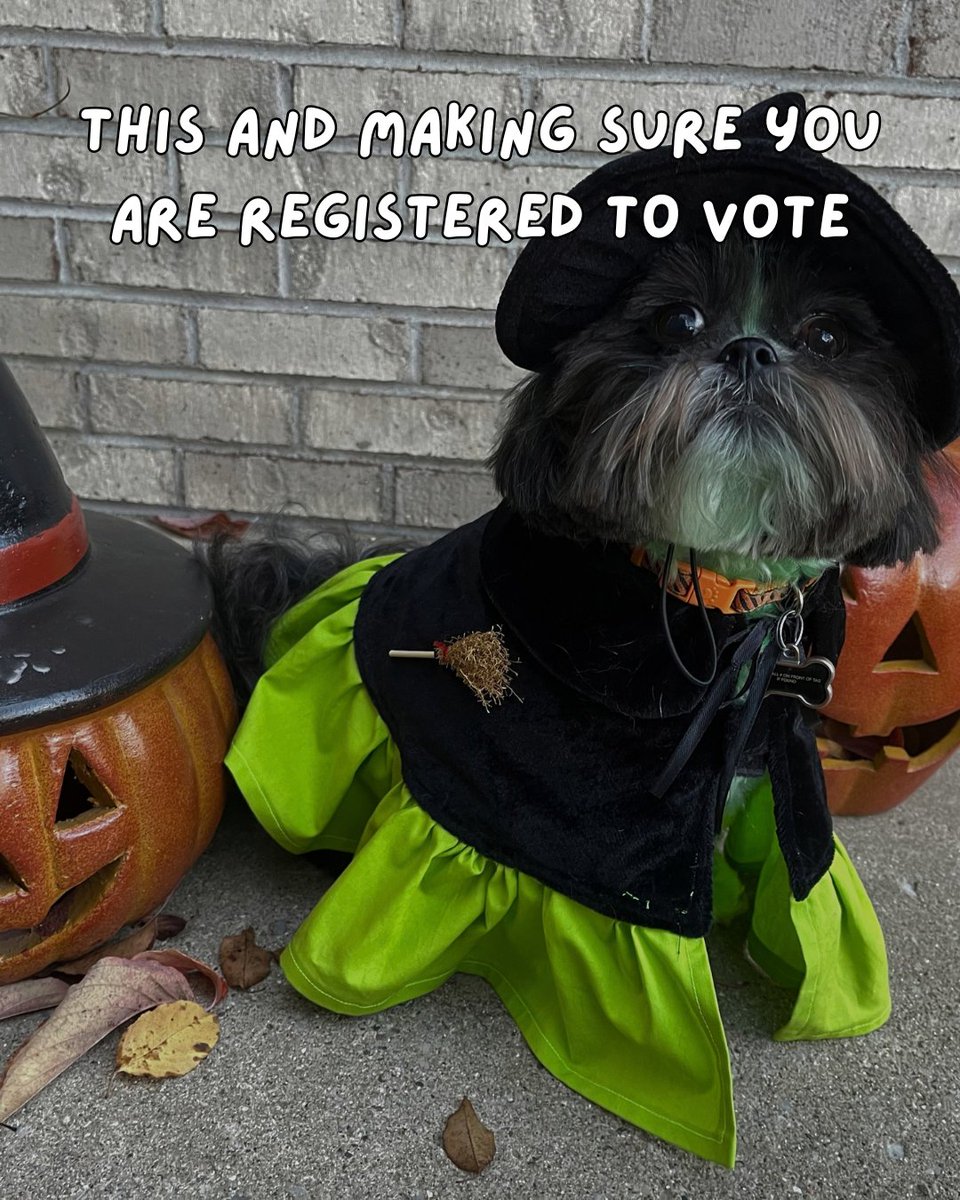 Berecz4Michigan's tweet photo. This and making a plan to vote! https://t.co/7nbYo8r0R9
