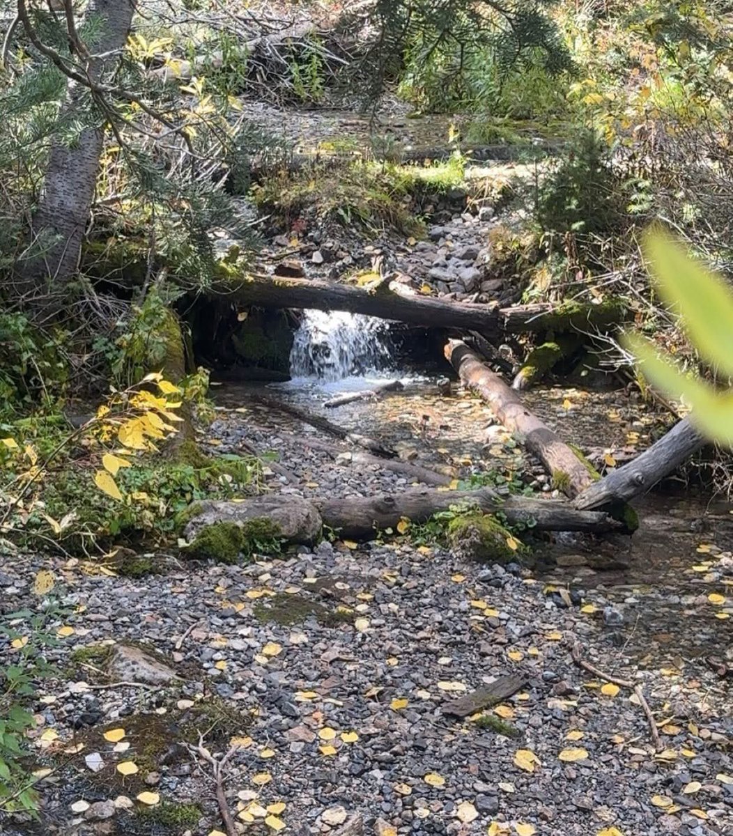 afnmwh's tweet photo. It makes me so angry that our world is this beautiful and people want to destroy it… 🥹 https://t.co/thawHnkry9