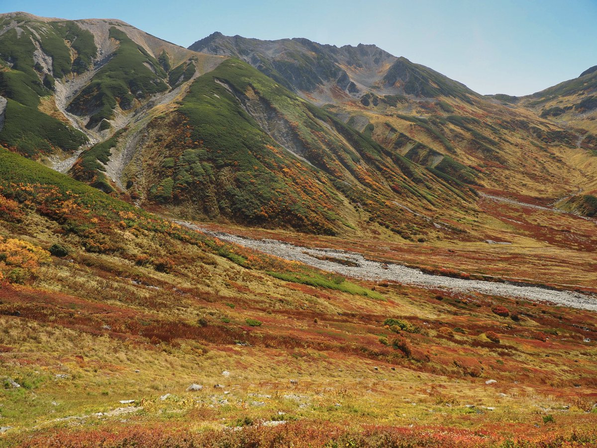 kym_yas's tweet photo. 9月の日照不足からか、紅葉せずに枯れてる葉も多かったかな？でも久しぶりに青空の下登山できて良かった！
室堂からその日のウチに剱岳登ったんでちょっとキツかったけど https://t.co/4iBfCaU0m0