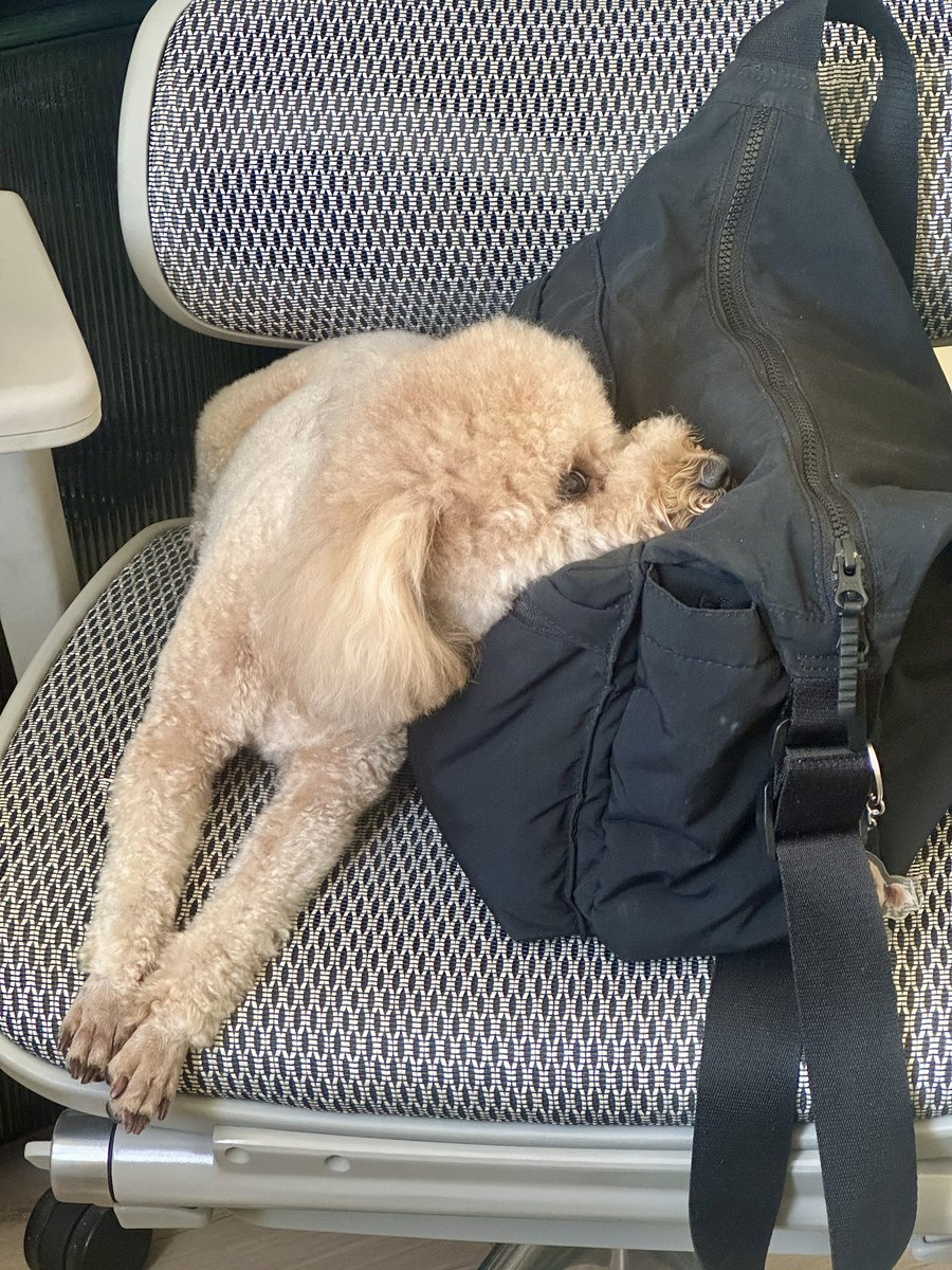 BAWUDENIU's tweet photo. 不是不想社交，是社交完需要一个人静静，静到别人以为我失踪。 https://t.co/2Ete2lGv0E
