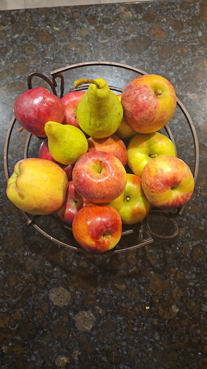 davege123's tweet photo. BIG THINGS COMING #APPLE #APPLEPICKING #PIE #IALSOGOTTWOPEARS https://t.co/wDgWpshrUF