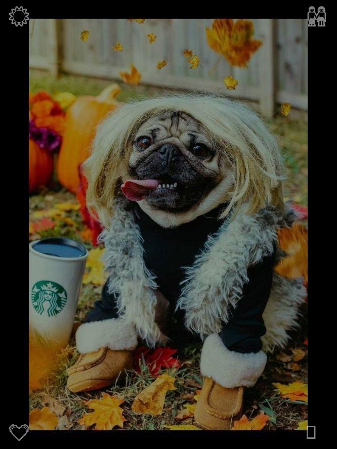 ChanYatMun's tweet photo. 🙏Putting Away Summer Clothes The summer is warm977711The dog on a walkDark pencil https://t.co/PnXkzdDNNN