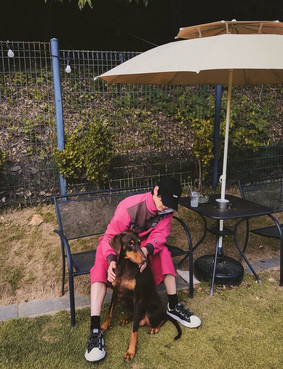jkcolector's tweet photo. JUNGKOOK WITH BAM OH MY HEART 🥺❤️‍🩹 https://t.co/jwwcRQiYMx