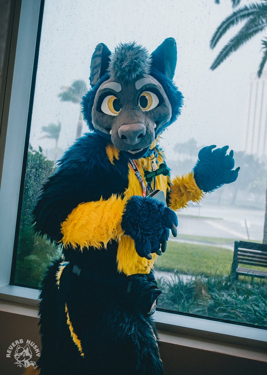 Voltagewolff117's tweet photo. Gasppp 🌧⚡️!!!
Can we go outside and play!? Plzzzz plzz plzzz 

📷 @ReverbHusky
#megaplex2026 https://t.co/va1J6UZfPw