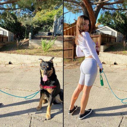 Bellalovembij's tweet photo. I make curated contents videos with my partner..Want full access to my premium videos and live shows, Everything is delivered instantly via secure links.💻🎗️🔞
♂️👇
https://t.co/rJbRq6EFn4

#zoophilia #bestiality #doglover #dogknottin #knotty #dogpill #dogwhore  #NSFW  #dogmom https://t.co/yglxo2bO0t
